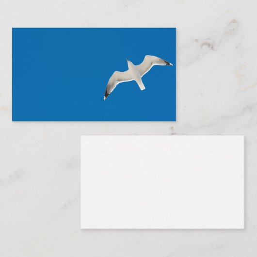Vliegende zeemeeuw visitekaartje (Voorkant / Achterkant)