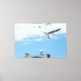 Vliegende zeemijlen Birds Blue Sky Canvas Afdruk