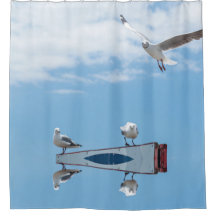 Vliegende zeemijlen Birds Blue Sky