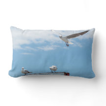 Vliegende zeemijlen Birds Blue Sky