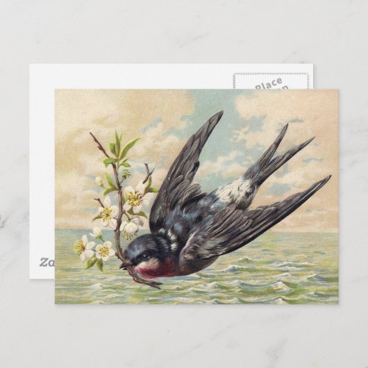 Vliegende zwaluw met bloemtakje briefkaart (Voorkant / Achterkant)