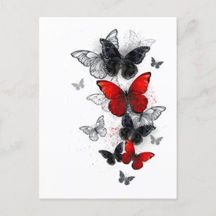 Vliegende zwarte en rode Morpho-vlinders Briefkaart