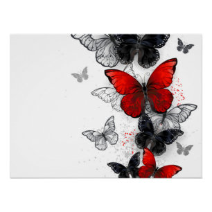 Vliegende Zwarte en Rode Morpho Vlinders Perfect Poster