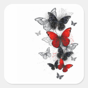 Vliegende Zwarte en Rode Morpho Vlinders Vierkante Sticker