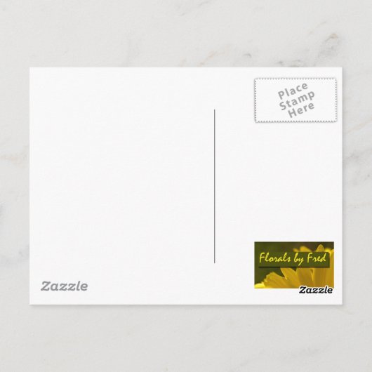 vliegenvanger briefkaart (Achterkant)