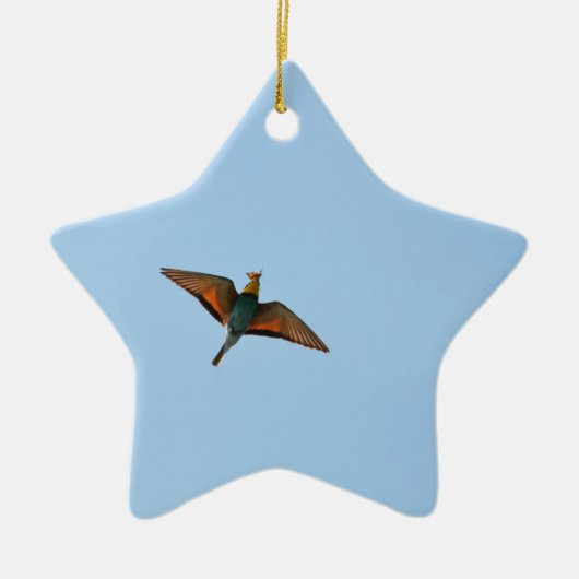 Vliegenvanger Keramisch Ornament (Voorkant)