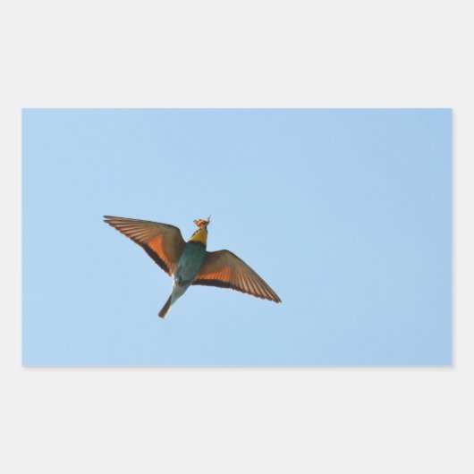 Vliegenvanger Rechthoekige Sticker (Voorkant)