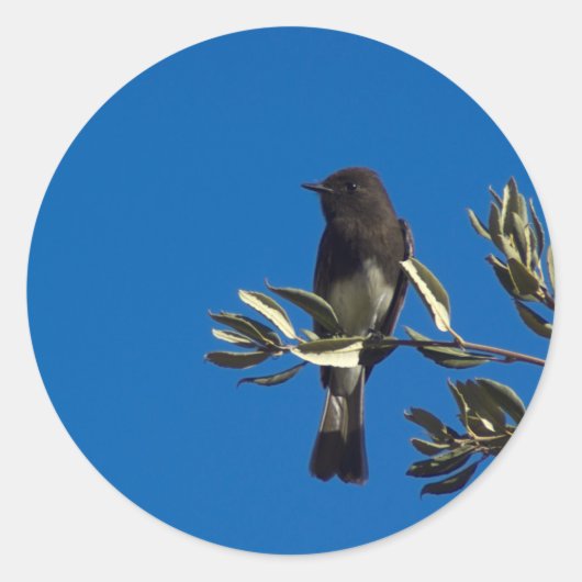 vliegenvanger ronde sticker (Voorkant)