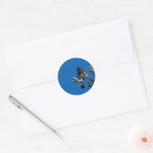 vliegenvanger ronde sticker (Envelop)