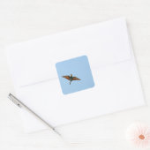 Vliegenvanger Vierkante Sticker (Envelop)