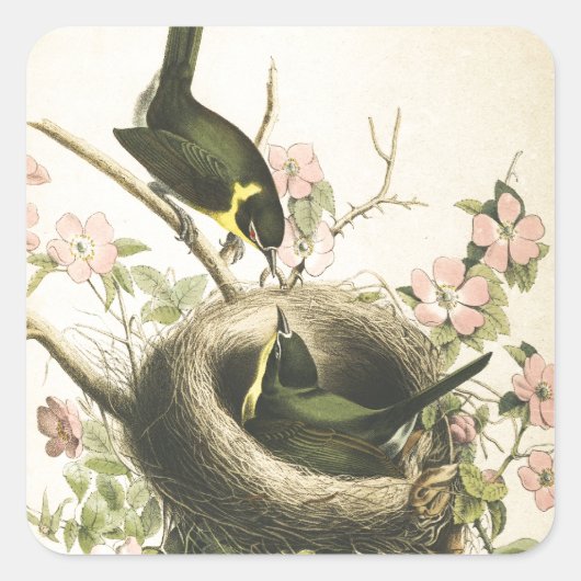 VLIEGENVANGER VOGEL EN NEST VIERKANTE STICKER (Voorkant)