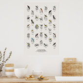 Vliegenvangers - Naturalist's Library Poster (Keuken)