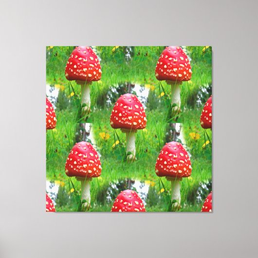 Vliegenzwam Paddenstoelen Canvas Afdruk (Voorkant)