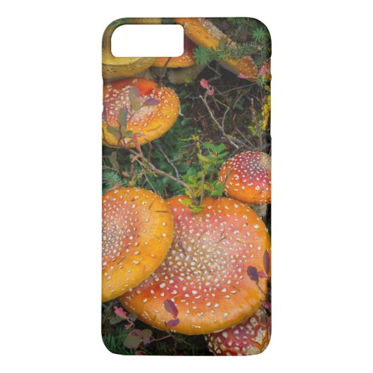 Vliegenzwammen bij Mowich Lake Case-Mate iPhone Case (Achterkant)