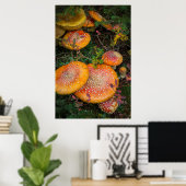 Vliegenzwammen bij Mowich Lake Poster (Thuiskantoor)