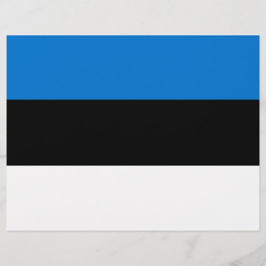 Vlieger met de vlag van Estland Flyer (Achterkant)