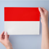 Vlieger met de vlag van Indonesië Flyer (Hand)