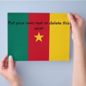 Vlieger met de vlag van Kameroen Flyer (Hand)