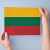 Vlieger met de vlag van Litouwen Flyer (Hand)
