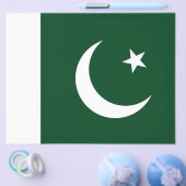 Vlieger met vlag van Pakistan Flyer (Enkel)