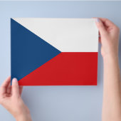 Vlieger met vlag van Tsjechië Flyer (Hand)
