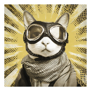 Vliegerbril voor katten Zonnebril Portret Foto Afdruk
