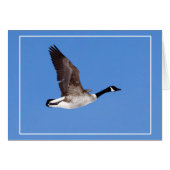 Vlieggans (Voorkant Horizontaal)