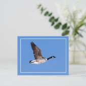 Vlieggans Briefkaart (Staand voorkant)