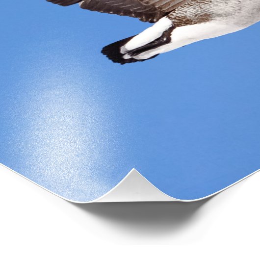 Vlieggans Foto Afdruk (Hoek)