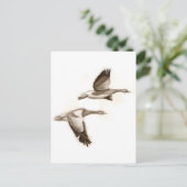 Vliegganzentrek Briefkaart (Staand voorkant)