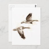 Vliegganzentrek Briefkaart (Voorkant / Achterkant)
