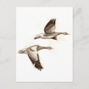 Vliegganzentrek Briefkaart