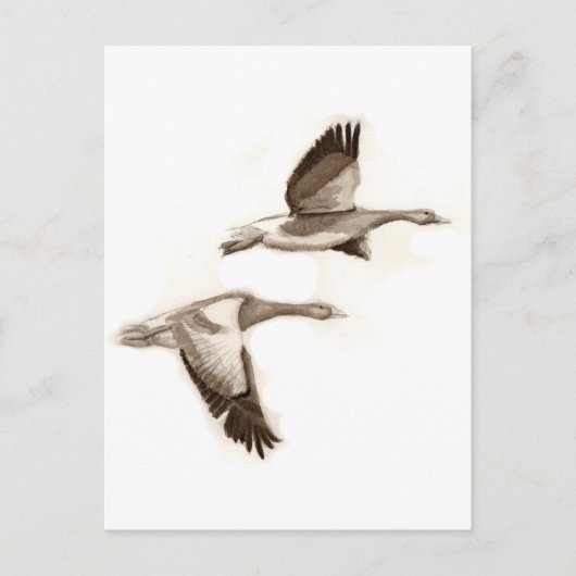 Vliegganzentrek Briefkaart (Voorkant)