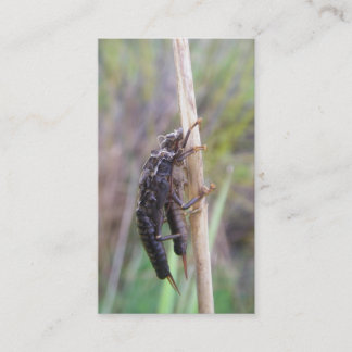 Vlieghandleiding Visitekaartje