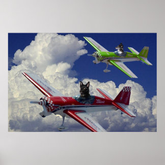 Vlieghonden 4 poster