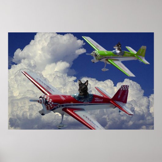 Vlieghonden 4 poster (Voorkant)