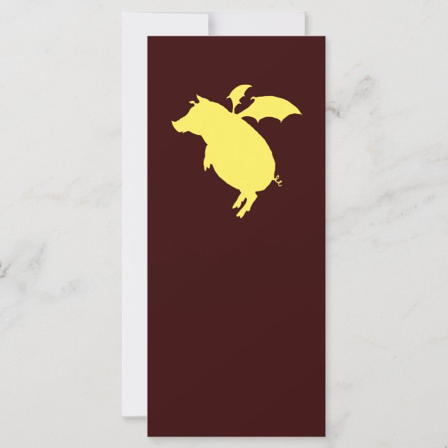 Vliegigaard (Voorkant)