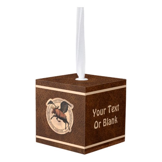 Vliegingspatch van Vliegtuig Decoratie (Achter hoekig)