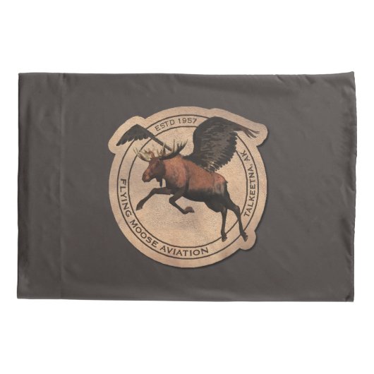 Vliegingspatch van Vliegtuig Kussensloop (Achterkant)