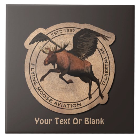 Vliegingspatch van Vliegtuig Tegeltje (Voorkant)