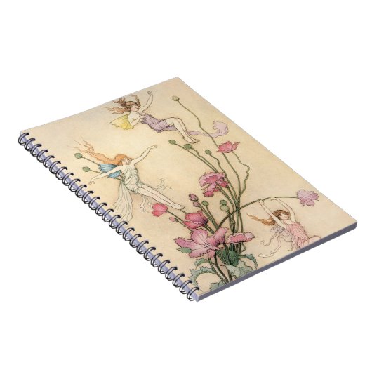  vliegjes, drie spirits gevuld met joy notitieboek (Rechterzijde)