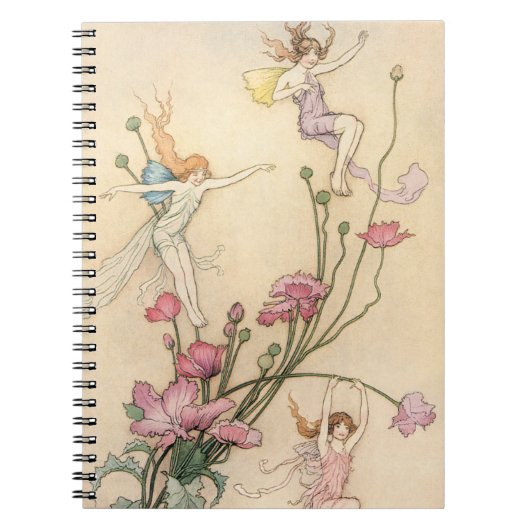  vliegjes, drie spirits gevuld met joy notitieboek (Voorkant)