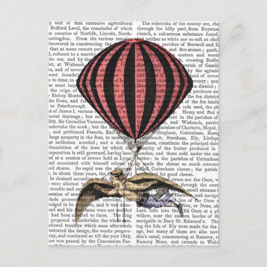  vliegmachine briefkaart (Voorkant)