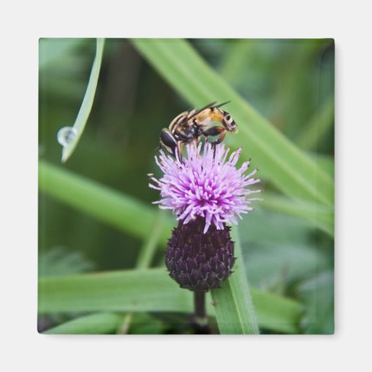 vliegmagneet magneet (Voorkant)