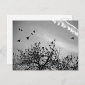 Vliegpad Briefkaart (Voorkant / Achterkant)