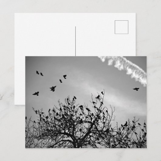 Vliegpad Briefkaart (Voorkant / Achterkant)