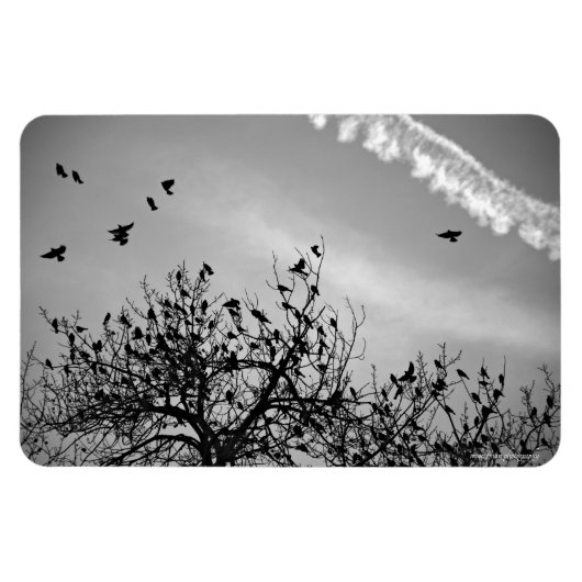 Vliegpad Magneet (Horizontaal)