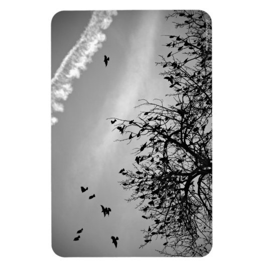 Vliegpad Magneet (Verticaal)