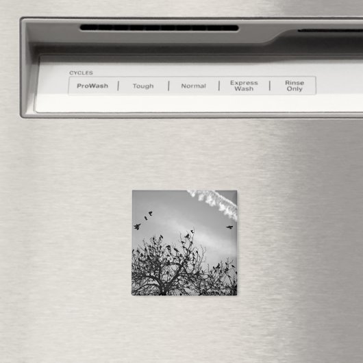 Vliegpad Magneet (Insitu (Vaatwasser))