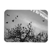 Vliegpad Magneet (Horizontaal)